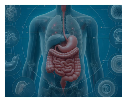 nutrizione & probiotica